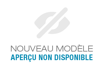 FORD TRANSIT COURIER FOURGON ELECTRIQUE
